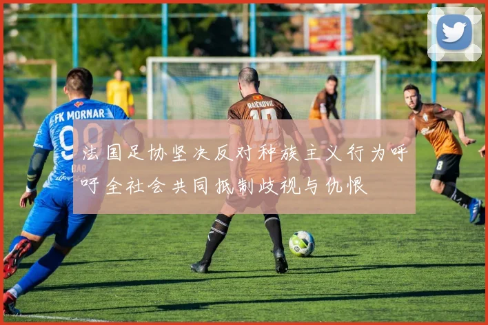 法国足协坚决反对种族主义行为呼吁全社会共同抵制歧视与仇恨